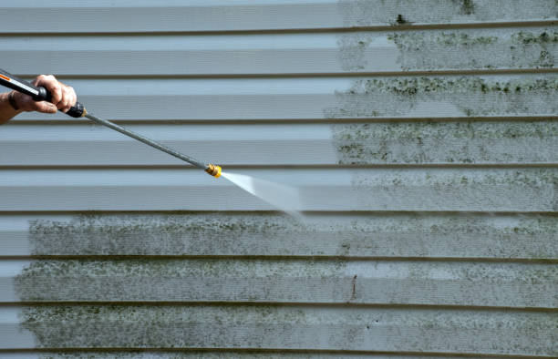 Best Window and Screen Pressure Cleaning in Richwood, TX